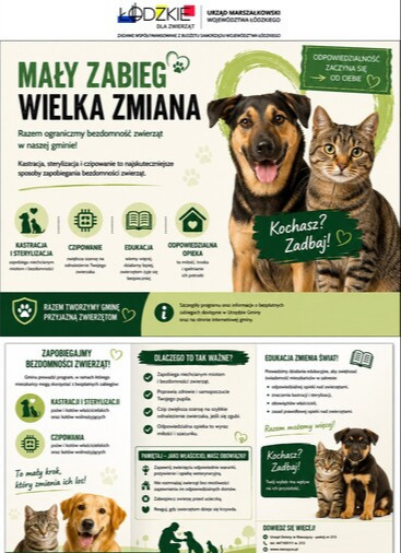 Mały zabieg WIELKA ZMIANA