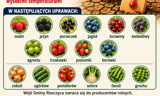 Plakat Susza